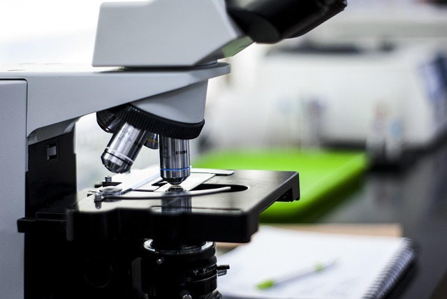 Compare the impact of purity differences of different brands of organotin T-9 on the pore size and uniformity of polyurethane foam